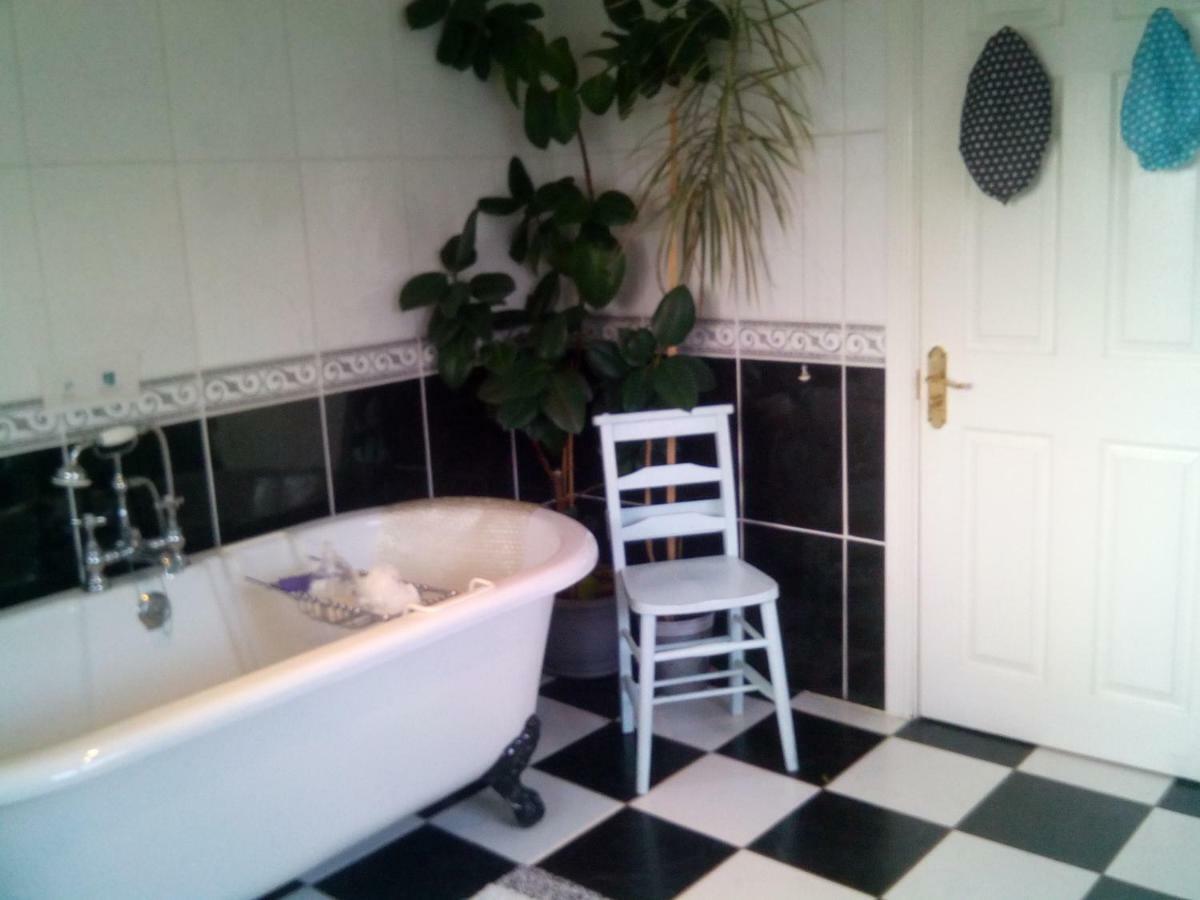 Y Garreg Wen Bed and Breakfast Llanybyther Esterno foto