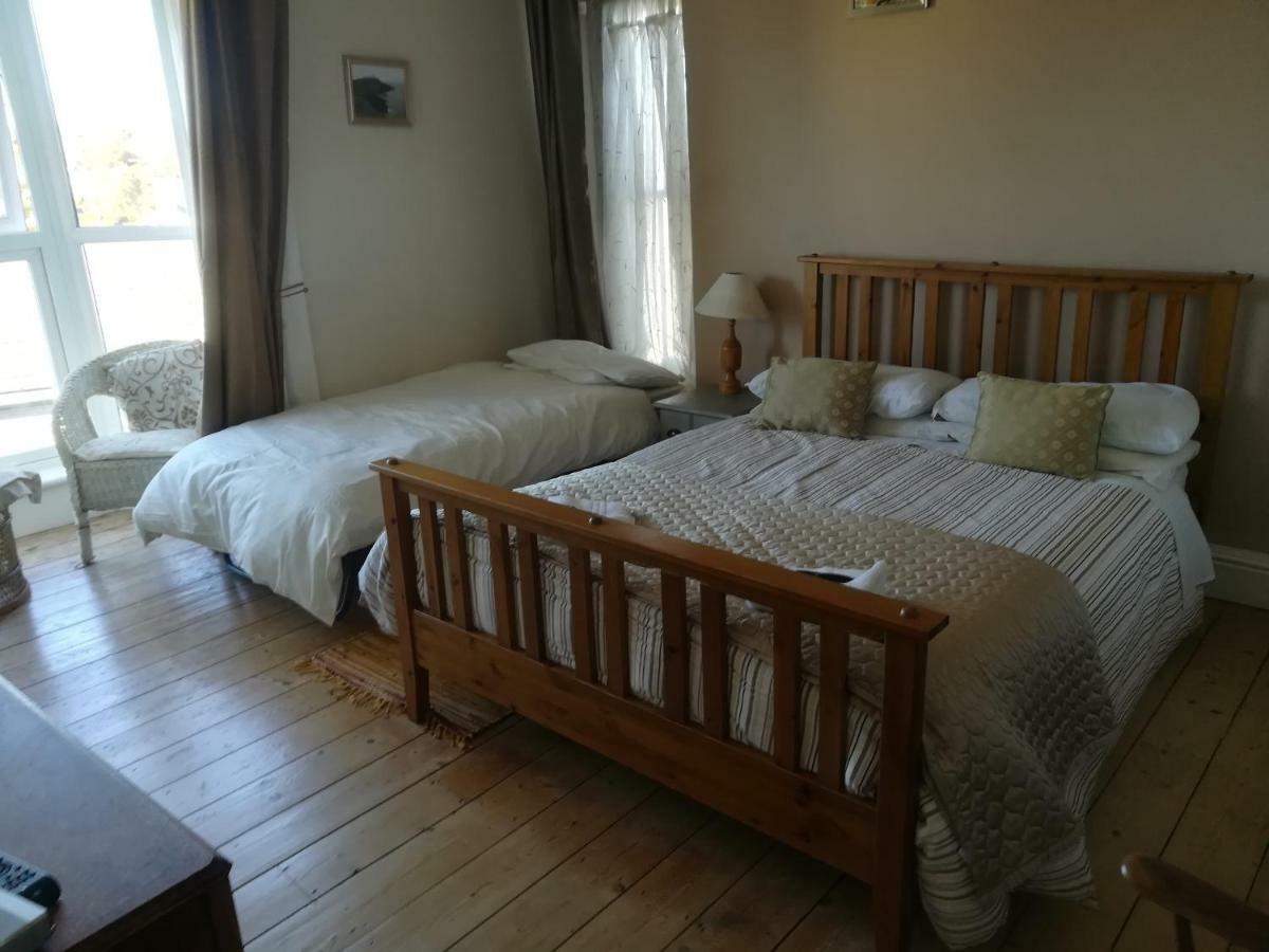 Y Garreg Wen Bed and Breakfast Llanybyther Esterno foto