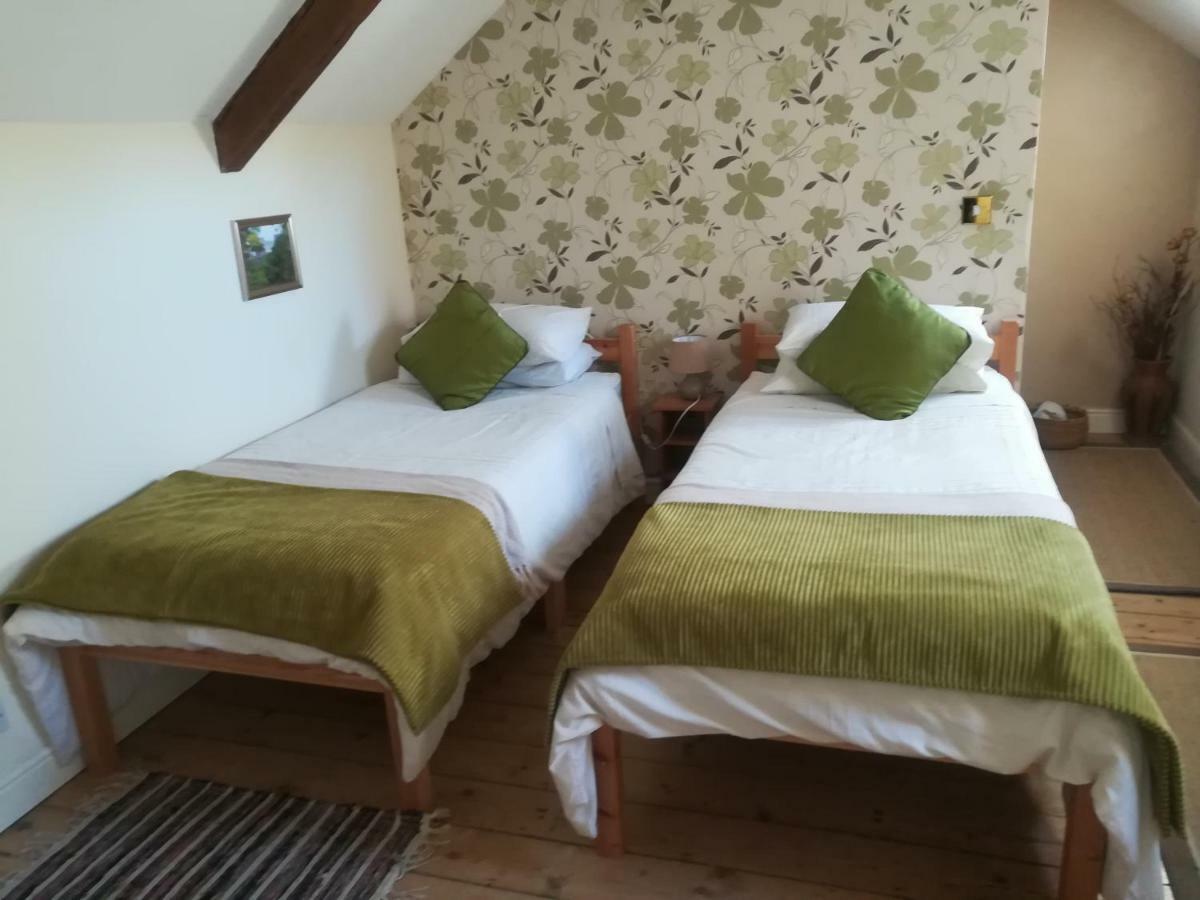 Y Garreg Wen Bed and Breakfast Llanybyther Esterno foto