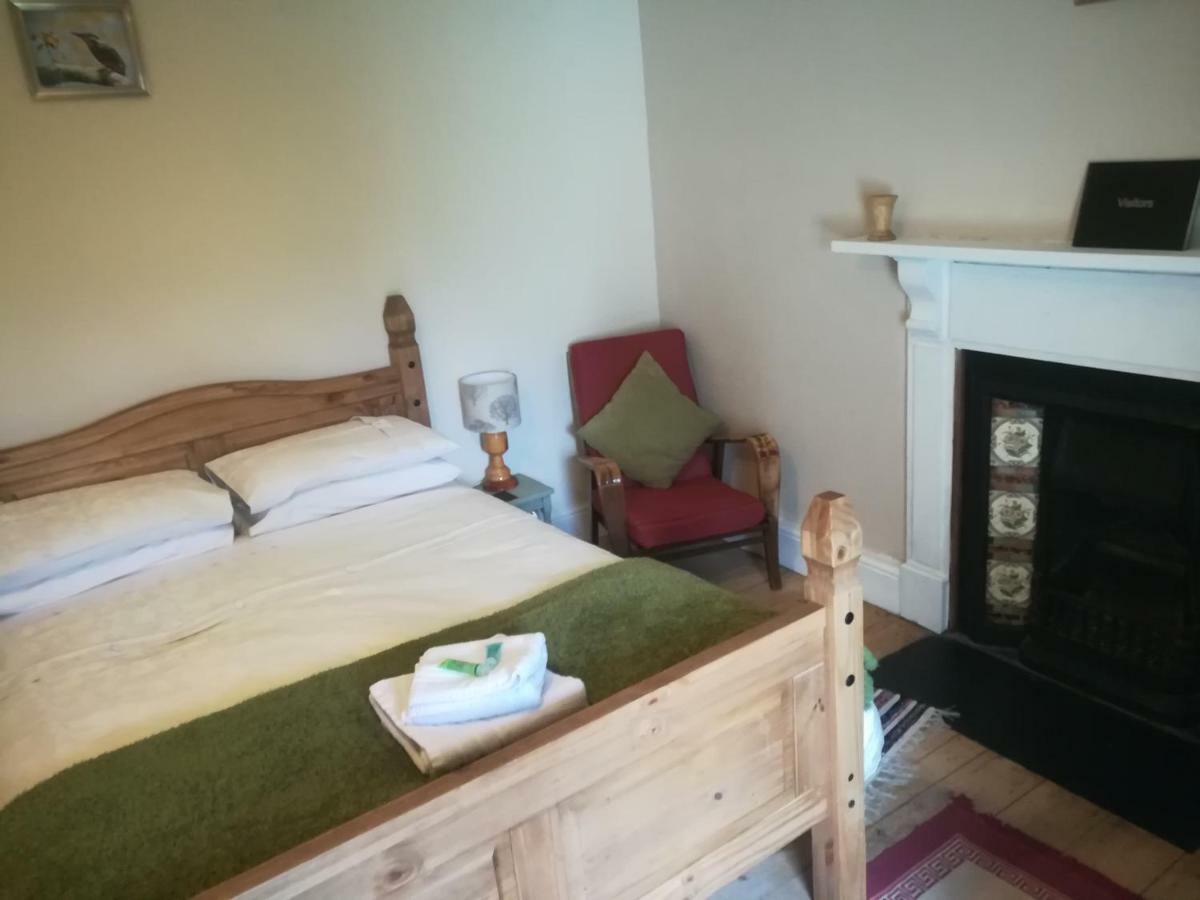Y Garreg Wen Bed and Breakfast Llanybyther Esterno foto